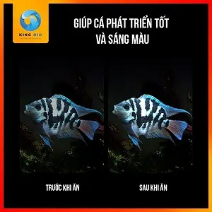 [Hạt chìm] Cám cá két panda Xiaoyu thức ăn giàu đạm và hỗ trợ tiêu hóa - Ảnh 2