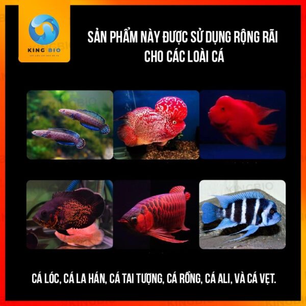 Cám cá lóc Xiaoyu thức ăn cân bằng dinh dưỡng, hỗ trợ lên màu - Ảnh 4
