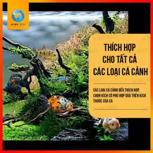 [Hạt chìm] Cám cá nhiệt đới Xiaoyu thức ăn giàu đạm và vitamin - Ảnh 2