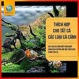 [Hạt chìm] Cám cá nhiệt đới Xiaoyu thức ăn giàu đạm và vitamin - Ảnh 2