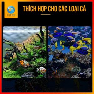 [Hạt chìm] Cám cá nhiệt đới Xiaoyu thức ăn giàu đạm và vitamin - Ảnh 4