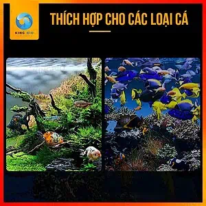 [Hạt chìm] Cám cá nhiệt đới Xiaoyu thức ăn giàu đạm và vitamin - Ảnh 4