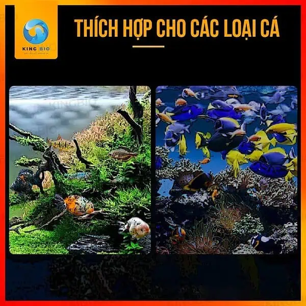 [Hạt chìm] Cám cá nhiệt đới Xiaoyu thức ăn giàu đạm và vitamin - Ảnh 4