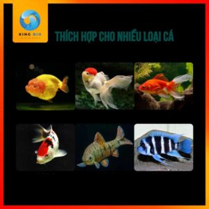 [Hộp 600ml] Cám cá vàng Xiaoyu thức ăn giàu đạm, tảo xoắn và hỗ trợ tiêu hóa - Ảnh 2