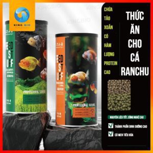 cám cá vàng xiaoyu