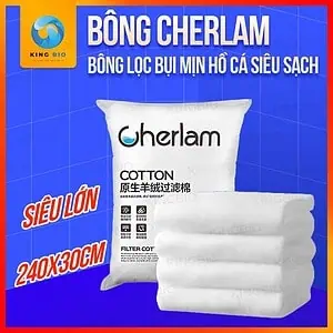 Bông Lọc Cashmere Cherlam