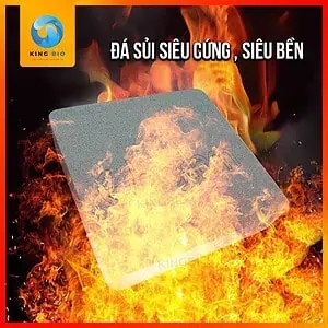 Đĩa sủi oxy Cherlam cao cấp, bọt oxy siêu mịn, chân đế inox - Ảnh 4