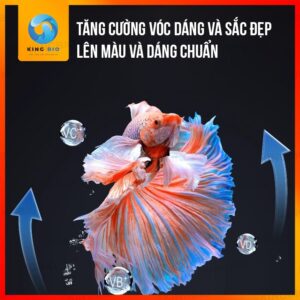 Cám cao cấp cho cá cảnh Cherlam G50 thức ăn đạm cao, dinh dưỡng - Ảnh 4