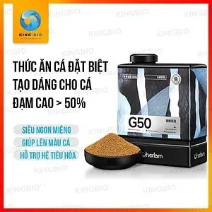 cám Cherlam G50