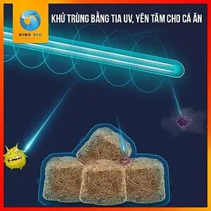 Trùng huyết đông khô Voonline Dried Bloodworm thức ăn dinh dưỡng cho cá cảnh - Ảnh 2