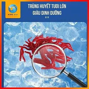 Trùng huyết đông khô Voonline Dried Bloodworm thức ăn dinh dưỡng cho cá cảnh - Ảnh 3