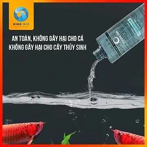[Chai 500m] Chế phẩm sinh học diệt rêu Voonline Algae Remover không gây hại cho cá - Ảnh 2