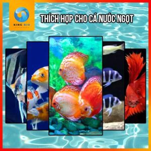 [Chai 500ml] Chế phẩm sinh học lắng cặn cho hồ cá Voonline B2 Professional Water Purifier - Ảnh 3