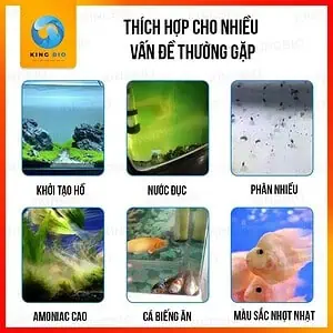 [Chai 500ml] Vi sinh Voonline B3 Liquid Nitrifying Bacteria - Ảnh 2