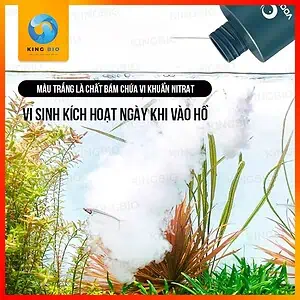 [Chai 500ml] Vi sinh Voonline B3 Liquid Nitrifying Bacteria - Ảnh 3