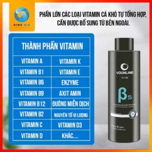 [Chai 500ml] Vitamin tổng hợp Voonline B5 Professional Multi Vitamins - Ảnh 3