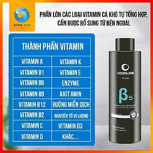 [Chai 500ml] Vitamin tổng hợp Voonline B5 Professional Multi Vitamins - Ảnh 3