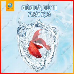 Voonline B6 Professional Methylene Blue thuốc trị bệnh ngoài da cho cá - Ảnh 3