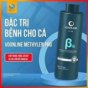 Voonline B6 methylen