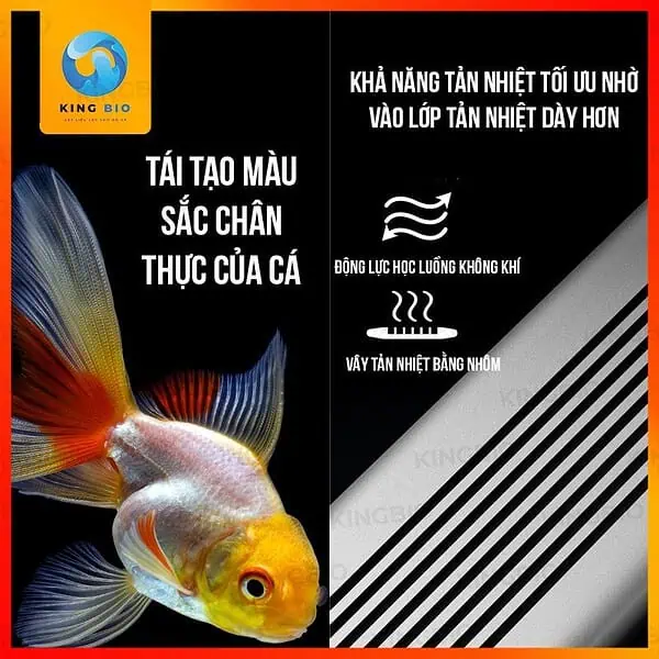 Đèn LED thông minh Xiaomei - Giải pháp chiếu sáng cao cấp cho hồ cá - Ảnh 5