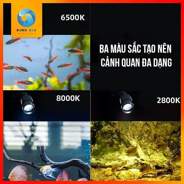 Đèn LED rọi thông minh Xiaomei 6W - Sự lựa chọn thông minh cho bể bán cạn của bạn - Ảnh 4