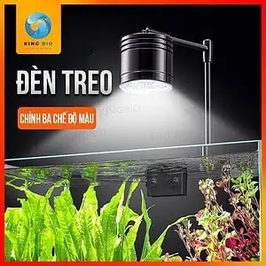Đèn LED treo cao cấp Yee