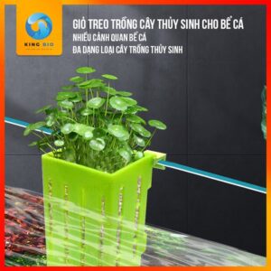 Giỏ trồng cây thủy canh móc thành hồ cá, hồ tép, hồ bán cạn - Ảnh 3