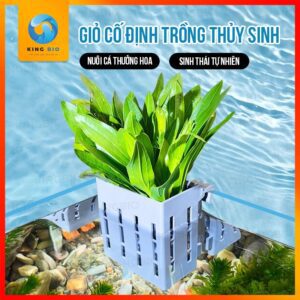 Giỏ trồng cây thủy canh hồ cá