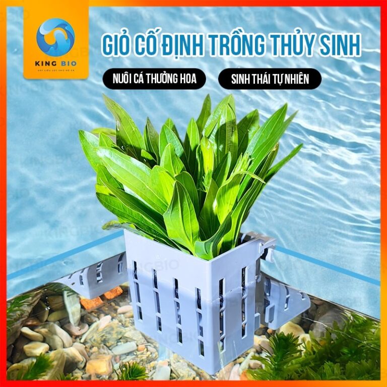 Giỏ trồng cây thủy canh hồ cá