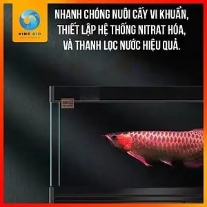 [Chai 680ml] Bộ chăm sóc cá cảnh Mbio Dr Fish cá khỏe, nước trong - Ảnh 2