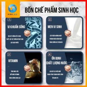 [Chai 680ml] Bộ chăm sóc cá cảnh Mbio Dr Fish cá khỏe, nước trong - Ảnh 4