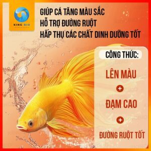 [Hộp 500ml] Trùng chỉ đông khô Pisceso Tubificidae - thức ăn dinh dưỡng cho cá cảnh - Ảnh 3