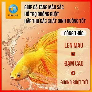 [Hộp 500ml] Trùng chỉ đông khô Pisceso Tubificidae - thức ăn dinh dưỡng cho cá cảnh - Ảnh 3
