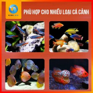[Hộp 500ml] Trùng chỉ đông khô Pisceso Tubificidae - thức ăn dinh dưỡng cho cá cảnh - Ảnh 4