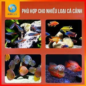 [Hộp 500ml] Trùng chỉ đông khô Pisceso Tubificidae - thức ăn dinh dưỡng cho cá cảnh - Ảnh 4
