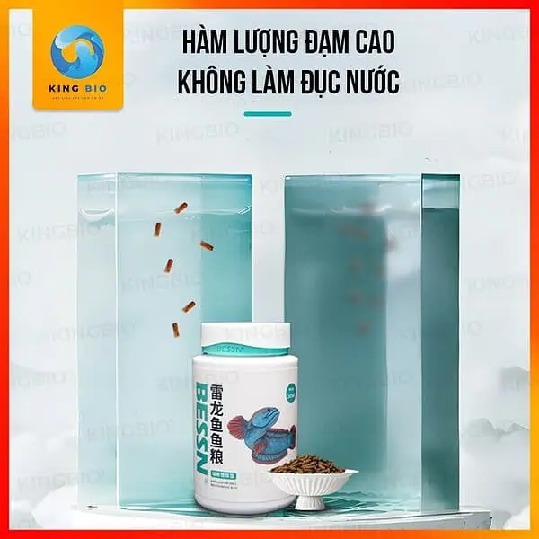 [Hạt nổi] Cám cá lóc cảnh Bessn S09 - thức ăn hỗ trợ tăng màu và phát triển toàn diện - Ảnh 4