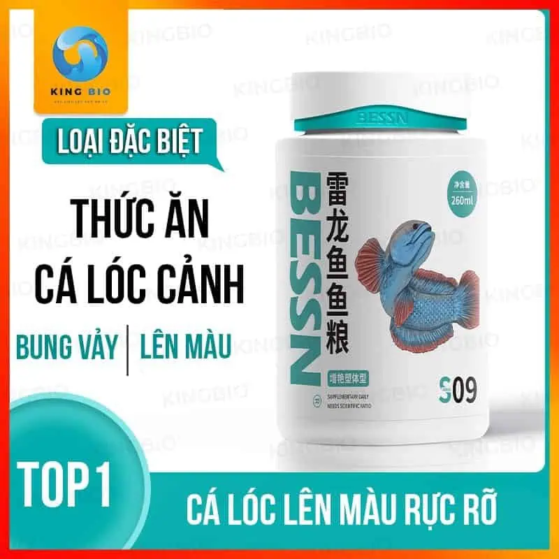 Cám cá lóc cảnh Bessn S09 Cám cá lóc cảnh Bessn S09 hạt 3mm