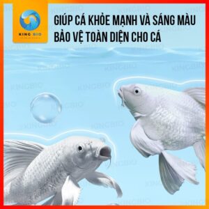Cám cá chép sư tử Pisceso Butterfly Carp – hỗ trợ sáng màu và bảo vệ hệ tiêu hóa cho cá - Ảnh 3