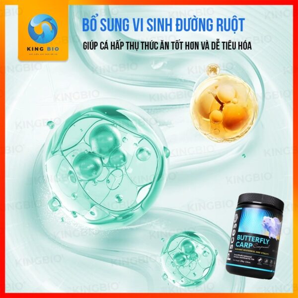 Cám cá chép sư tử Pisceso Butterfly Carp – hỗ trợ sáng màu và bảo vệ hệ tiêu hóa cho cá - Ảnh 4