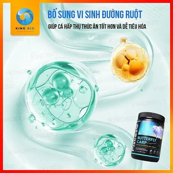 Cám cá chép sư tử Pisceso Butterfly Carp – hỗ trợ sáng màu và bảo vệ hệ tiêu hóa cho cá - Ảnh 4