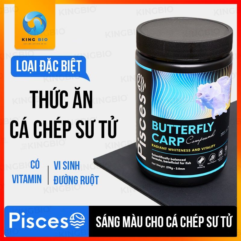 cam ca chep su tu pisceso butterfly carp Cám cá chép sư tử Pisceso