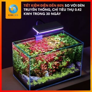 Đèn Led kẹp Yee chuyên cho hồ thủy sinh nhỏ - Ảnh 5