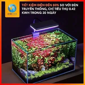 Đèn Led kẹp Yee chuyên cho hồ thủy sinh nhỏ - Ảnh 5