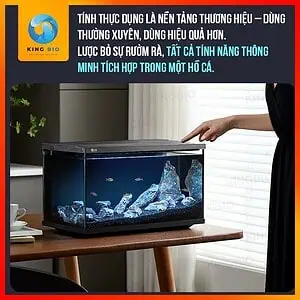 Hồ cá thông minh Yee  – kèm lọc vách, máy cho ăn tự động và kính trong - Ảnh 4