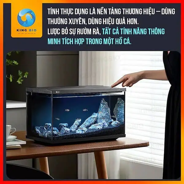 Hồ cá thông minh Yee  – kèm lọc vách, máy cho ăn tự động và kính trong - Ảnh 4