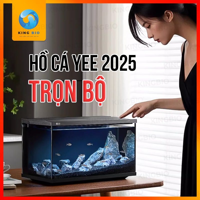 ho ca thong minh Yee pro Hồ cá thông minh Yee Pro