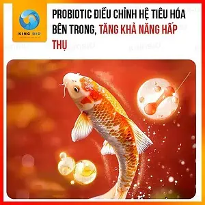 Thức ăn đông khô Yee cho cá cảnh vừa và lớn – thành phần từ tôm đỏ hoặc mực - Ảnh 3
