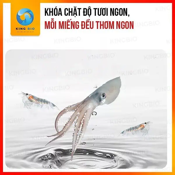 Thức ăn đông khô Yee cho cá cảnh vừa và lớn – thành phần từ tôm đỏ hoặc mực - Ảnh 4