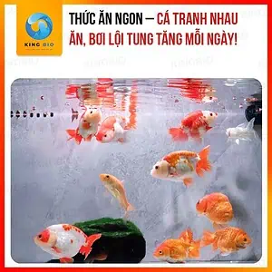Thức ăn đông khô Yee cho cá cảnh vừa và lớn – thành phần từ tôm đỏ hoặc mực - Ảnh 5