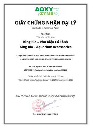 Vi sinh Aoxyzyme nước trong, cá khỏe, ức chế rêu tảo - Ảnh 5